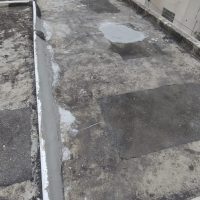 WhatsApp Image 2026-03-06 at 13.47.28